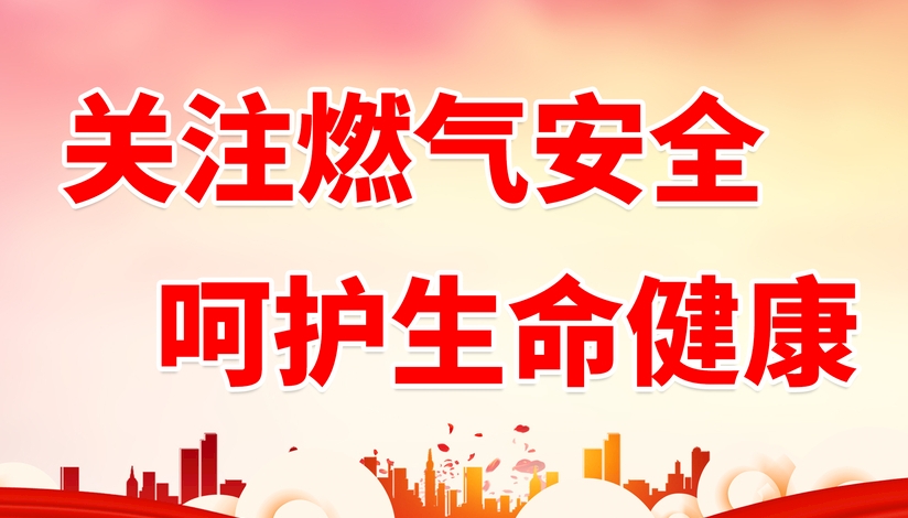 山東省人民政府安全生產委員會關于印發  《山東省城鎮燃氣安全專項整治實施方案》的通知