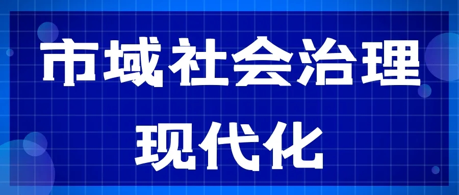 持續提升市域社會治理效能