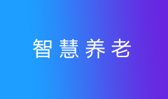 關(guān)于智慧養(yǎng)老體系建設(shè)的建議